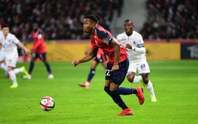 整支球队显 整支球队显