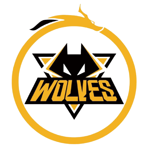 长与转会传 长与转会传