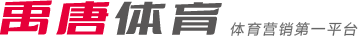 二次进攻的